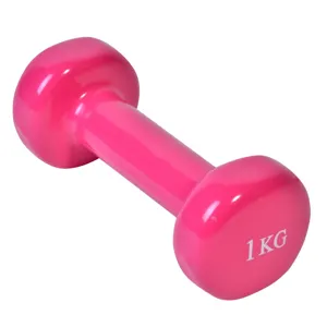 Greutate Antrenament Roz 1kg