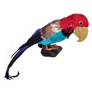 Accesoriu pirat cu papagal pentru umăr, 50 cm, multicolor