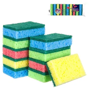 Burete de Bucătărie Dublu, Set 10 buc, 9x6x2 cm