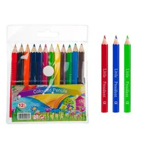 Set de 12 Creioane Colorate Mini pentru Artisti