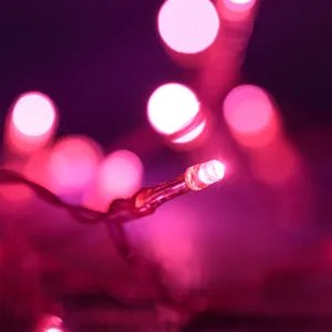 Instalație Lumini LED Fucsia cu Baterii 20 Becuri pentru Interior