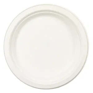 Set farfurii albe compostabile din trestie de zahăr, 10 bucăți