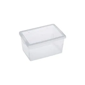 Cutie Depozitare Plastic Transparentă Organizator Spațiu 2L
