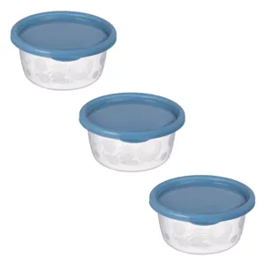Recipiente alimentare plastic cu capac bleu pentru conservare