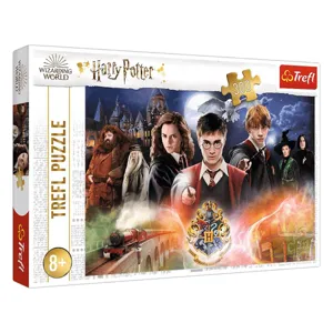 Puzzle Harry Potter, 300 de piese, Multicolor