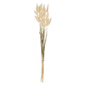 Buchete Decorative de Coadă Iepurelui Crem - Stil Rustic