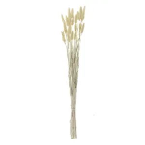 Ramuri decorative Coada Iepurelui, Bej, 60 cm, Aproximativ 25 bucăți