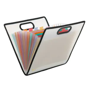 Servietă A4 Transparentă cu 13 Compartimente