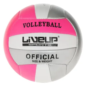 Minge de volei mini, marimea 2, alba si fuchsia