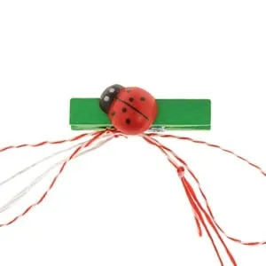 Martisor cu buburuza din lemn