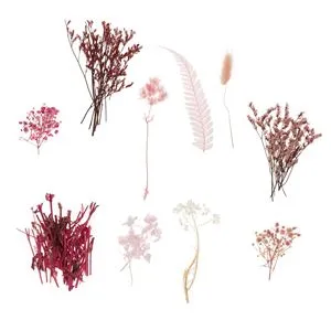 Flori Uscate Roz Fucsia pentru Creatii, 20g