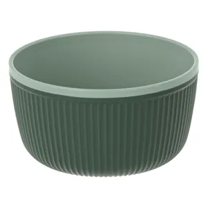 Bol din plastic verde menta cu dungi 520ml pentru servire
