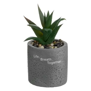 Ghiveci decorativi din ciment cu plantă artificială și mesaj