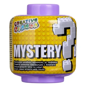 Cuburi de Construcție cu Model Floare și Cutie Misterioasă pentru Creativitate