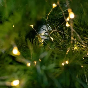 Instalare Lumini LED Fairy Lights Alb Extra-Cald pentru Interior și Exterior