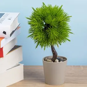 Ghiveci Decorativi cu Plantă Artificială Bonsai Taupe