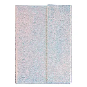 Carnetel Notite A6 Coperta Argintie Irizata & Capsa Magnetica - 80F