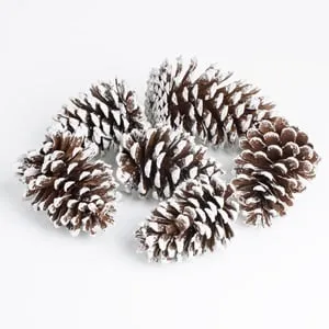 Conuri decorative de Crăciun de mărime mare 13-15cm