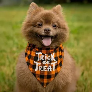 Bandana pentru câini cu model carouri portocalii și negre, Halloween, 46x23 cm