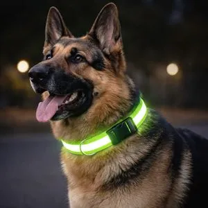 Zgardă pentru câini cu bandă reflectorizantă, 60x2,5 cm, verde