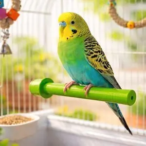 Creangă pentru pasăre de colivie, 16 cm, verde, plastic