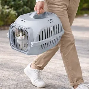 Cusca transport animale de companie, 49,5x32,4x28,5 cm, gri