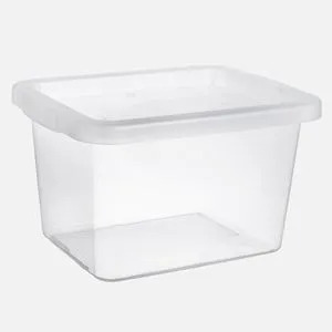 Cutie de depozitare transparentă din plastic cu capac, soluție organizare spațiu