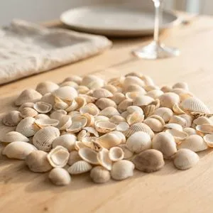 Scoici Decorative Albe din Materiale Naturale