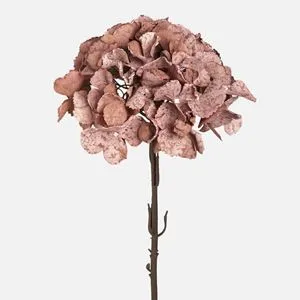 Hortensie toamnă uscată 66cm pentru decor acasă