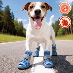 Pantofi pentru caini, Set 4 buc, Albastru, One Size