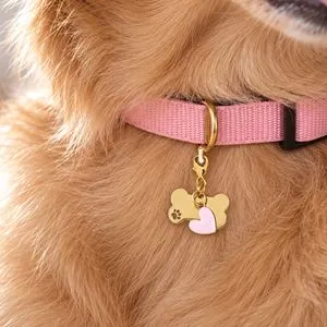 Pandantiv Os Auriu cu Inima Roz pentru Animale de Companie 3x1,5cm