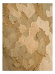Tablou Canvas Abstract cu Texturi Naturale Multicolor, 50 x 50 cm