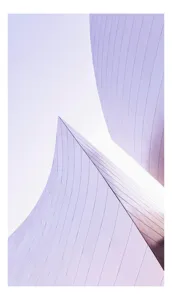 Linie geometrice violete design modern, 39 x 54 cm