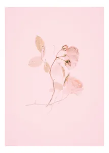 Tablou Canvas cu Trandafiri Roz pentru Decorarea Interiorului, 26 x 39 cm
