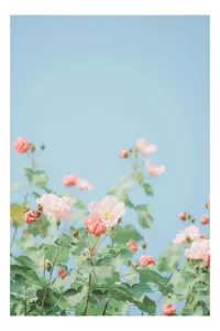 Tablou Canvas Floral Multicolor pentru Decorarea Interiorului, 50 x 70 cm