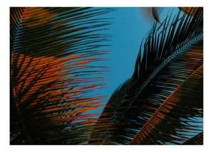 Tablou Canvas Frunze Palmierului sub Cer Albastru Tropical, 100 x 70 cm