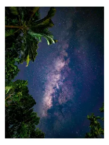 Tablou Canvas Calea Lactee printre frunzele tropicale Natura Galaxie, 50 x 70 cm
