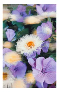 Tablou Canvas, Floral Abstract, 50 x 70 cm