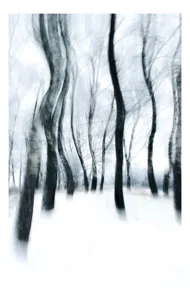 Tablou Canvas Abstract, Pădurea Înghețată în Dansul Vântului, , Alb și Negru, 39 x 54 cm
