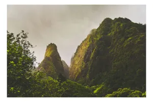 Tablou Canvas, "Altețea liniștită a munților verzi", Munți, Verdeață, Ceață, Natură, Liniște, Măreție, Piscuri, Pădure, Înalțime, Uimire, 100 x 100 cm