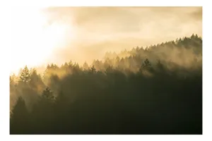 Tablou Canvas pe temă de natură și atmosferă, 70 x 50 cm