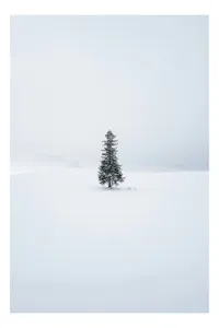 Tablou Canvas, "Singurătatea unui brad în iarnă", Copac, Singurătate, Alb, Zăpadă, Cer, Calm, Liniște, Peisaj, Iarnă, Natură, 100 x 150 cm