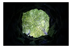 Tablou Canvas, "Privire spre lumea din afară", Frunziș, Cer, Copaci, Lumină, Roci, Verde, Natură, Pădure, Deschidere, Umbre, 100 x 100 cm