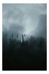 Tablou Canvas cu Pădure în Ceață, 50 x 50 cm
