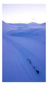 Tablou Canvas, "Sănii trase de câini în zori", Albastru, Întindere, Zăpadă, Sănii, Câini, Dealuri, Cer, Siluete, Peisaj, Trasee, Îndepărtat, 70 x 100 cm