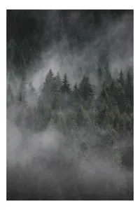 Tablou Canvas, "Misterul pădurii învăluite în ceață", Ceață, Pădure, Mister, Liniște, Verdeață, Frumusețe, Tainic, Natură, Umede, Seninătate, 50 x 70 cm