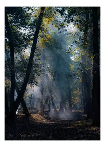 Tablou Canvas, "Raze de lumină în pădurea tainică", Mister, Lumină, Pădure, Umbre, Frunziș, Tainic, Copaci, Raze, Pitoresc, Seren., 50 x 70 cm