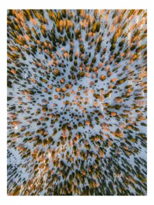 Tablou Canvas, "Armonie de culori în pădurea înghețată", Pădure, Zăpadă, Aerian, Înghețat, Tablou, Simetrie, Peisaj, Frumusețe, 50 x 70 cm