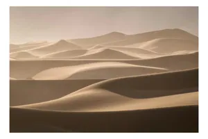 Tablou Canvas, "Valurile nesfârșite ale deșertului aurit", Ondulații, Dune, Nisip, Lumină, Umbre, Serenitate, Pustiu, Natură, 39 x 26 cm