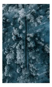 Tablou Canvas, "Cărare prin pădurea de iarnă", Cale, Înghețată, Arbori, Zăpadă, Rece, Natură, Pădure, Iarnă, Frig, Peisaj, Linia, Întunecat, Albastru, Contrast, Vedere., 50 x 70 cm